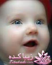 تصاویر دعوای پلنگ و کفتار بر سر غذا